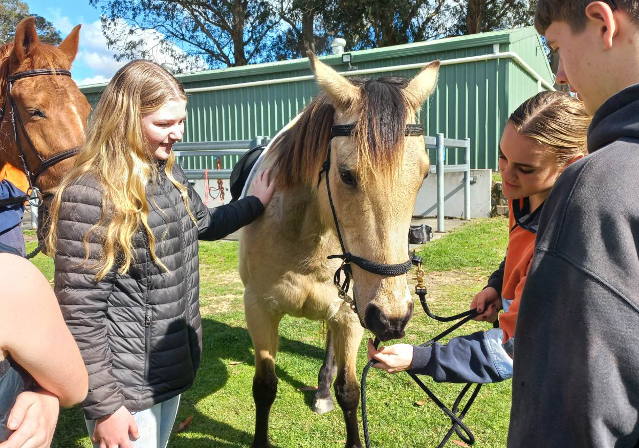Albany Residential College boarders patting a horse at the WA College of Agriculture Denmark Open Day