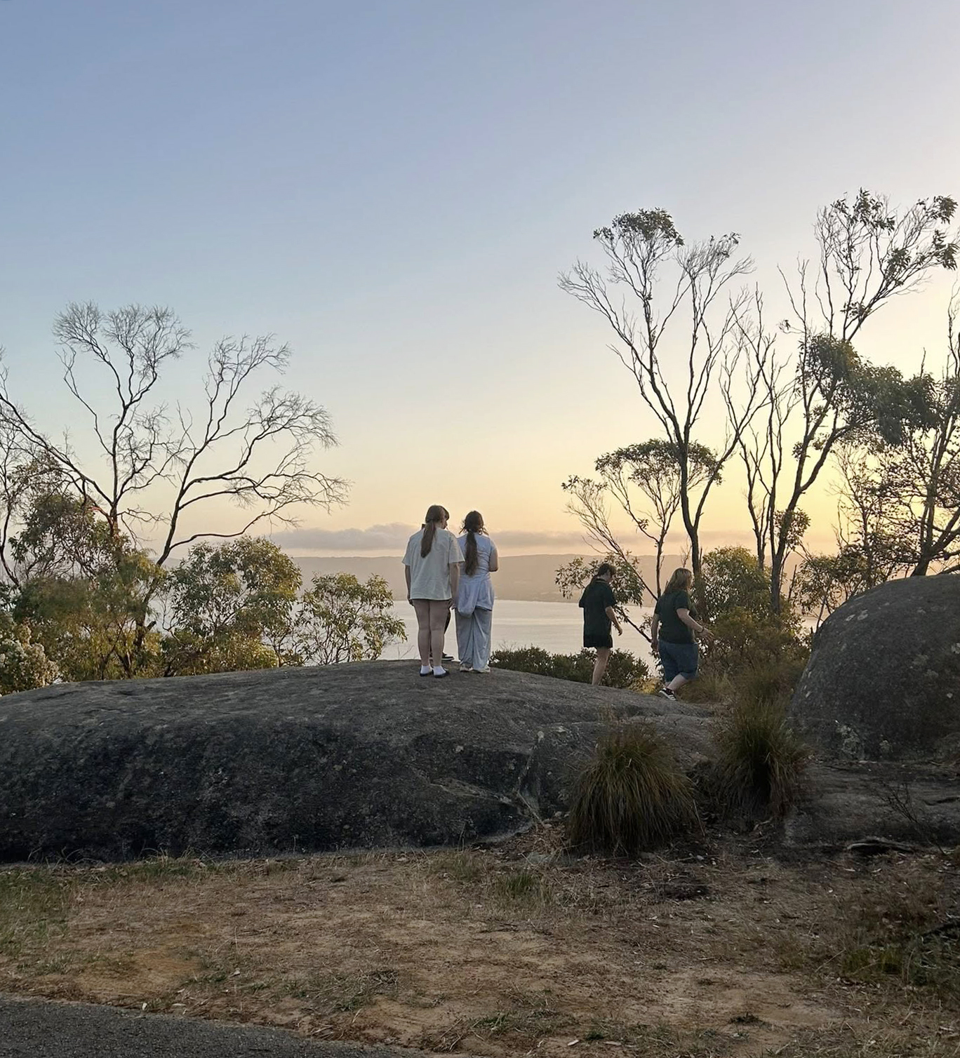 Albany Residential College boarders walking in the bush against a beautiful sunset.