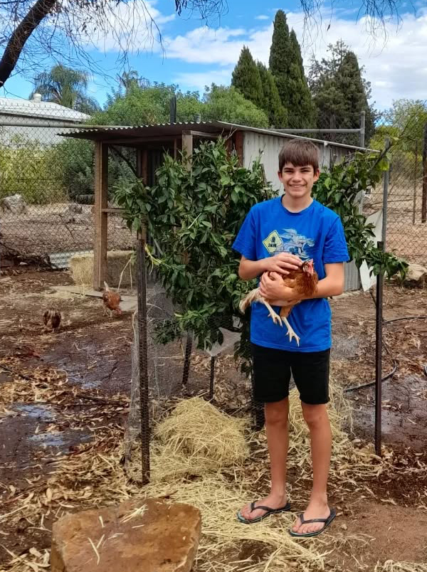 Welcoming new chickens to Northam Residential College