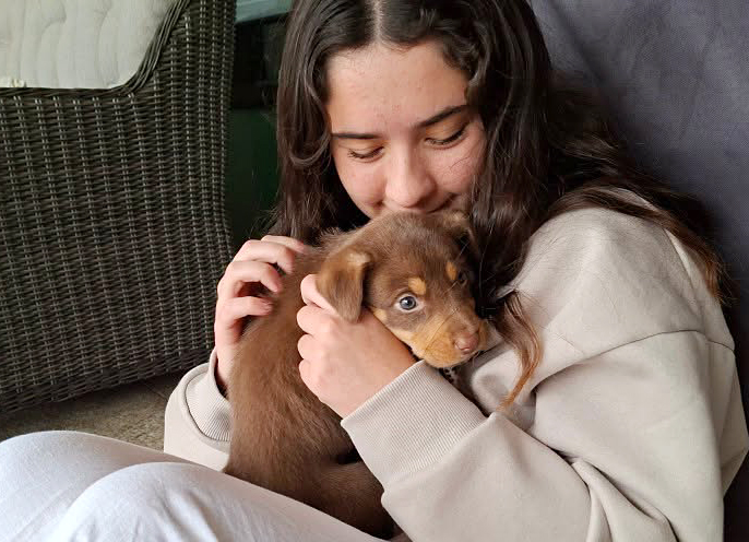A treat to have puppies come for a visit at Moora Residential College
