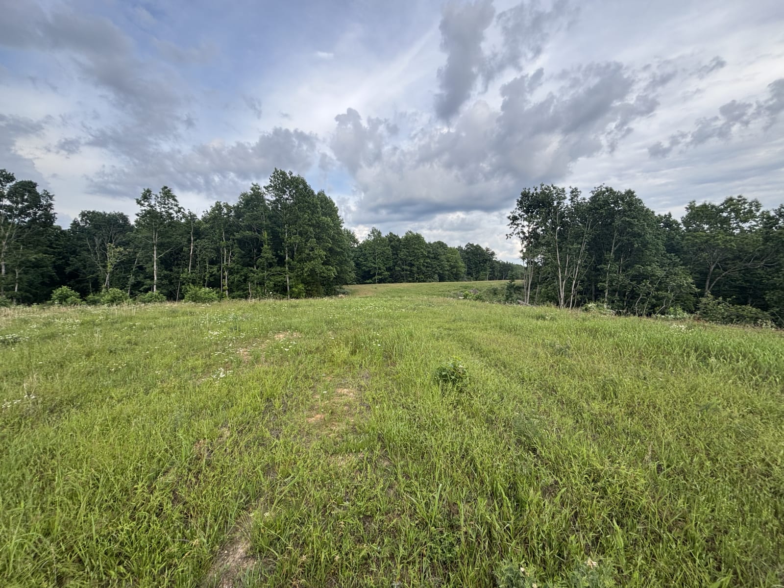 11.41 acres for sale in Decatur, Tennessee