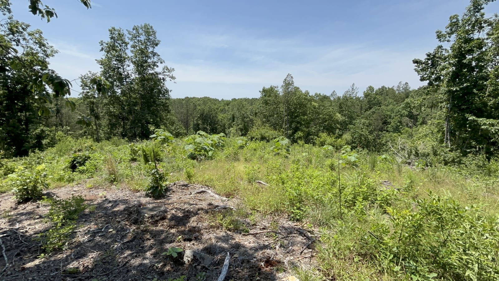 7.55 acres for sale in Decatur, Tennessee