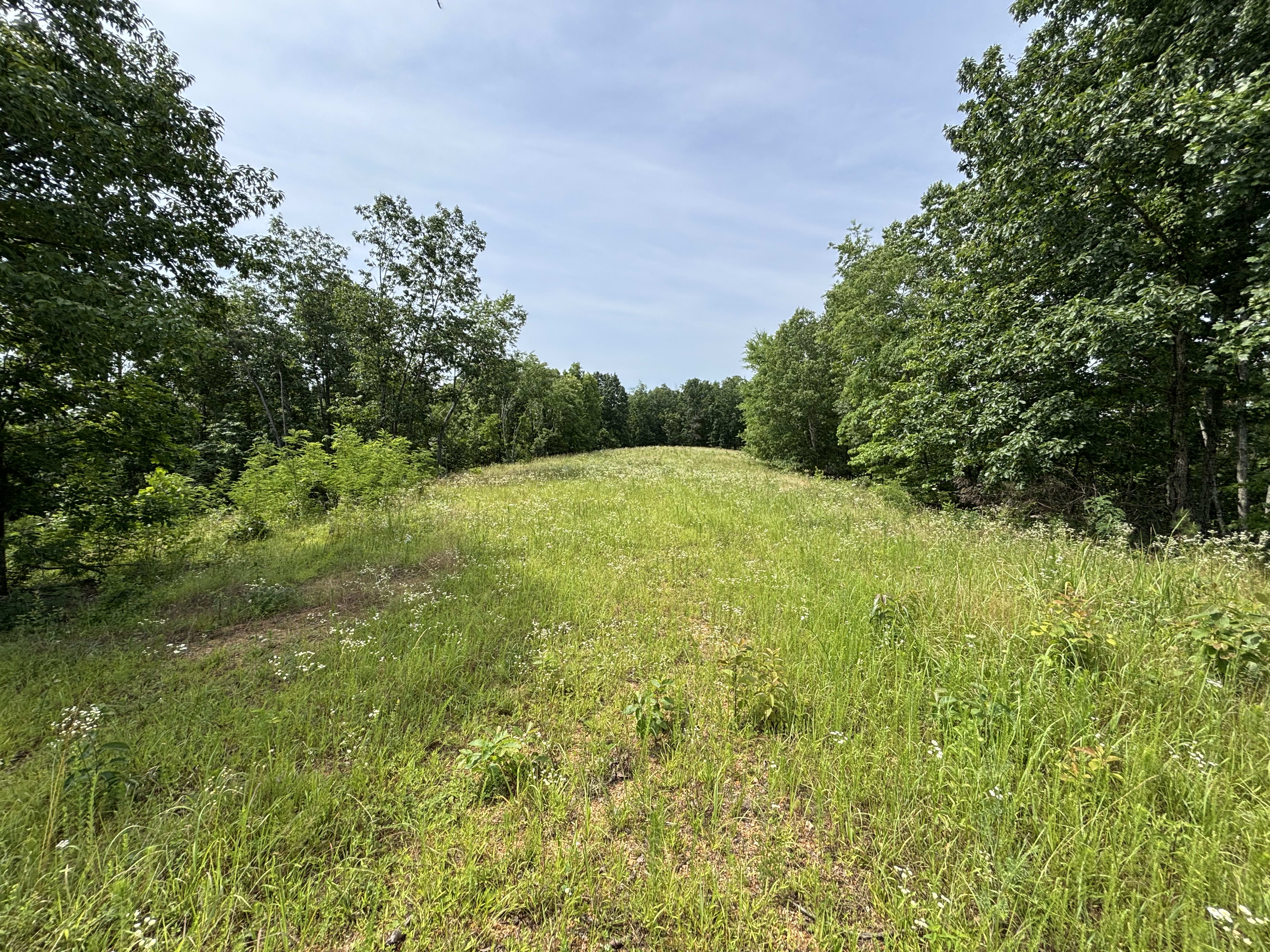 6.22 acres for sale in Decatur, Tennessee