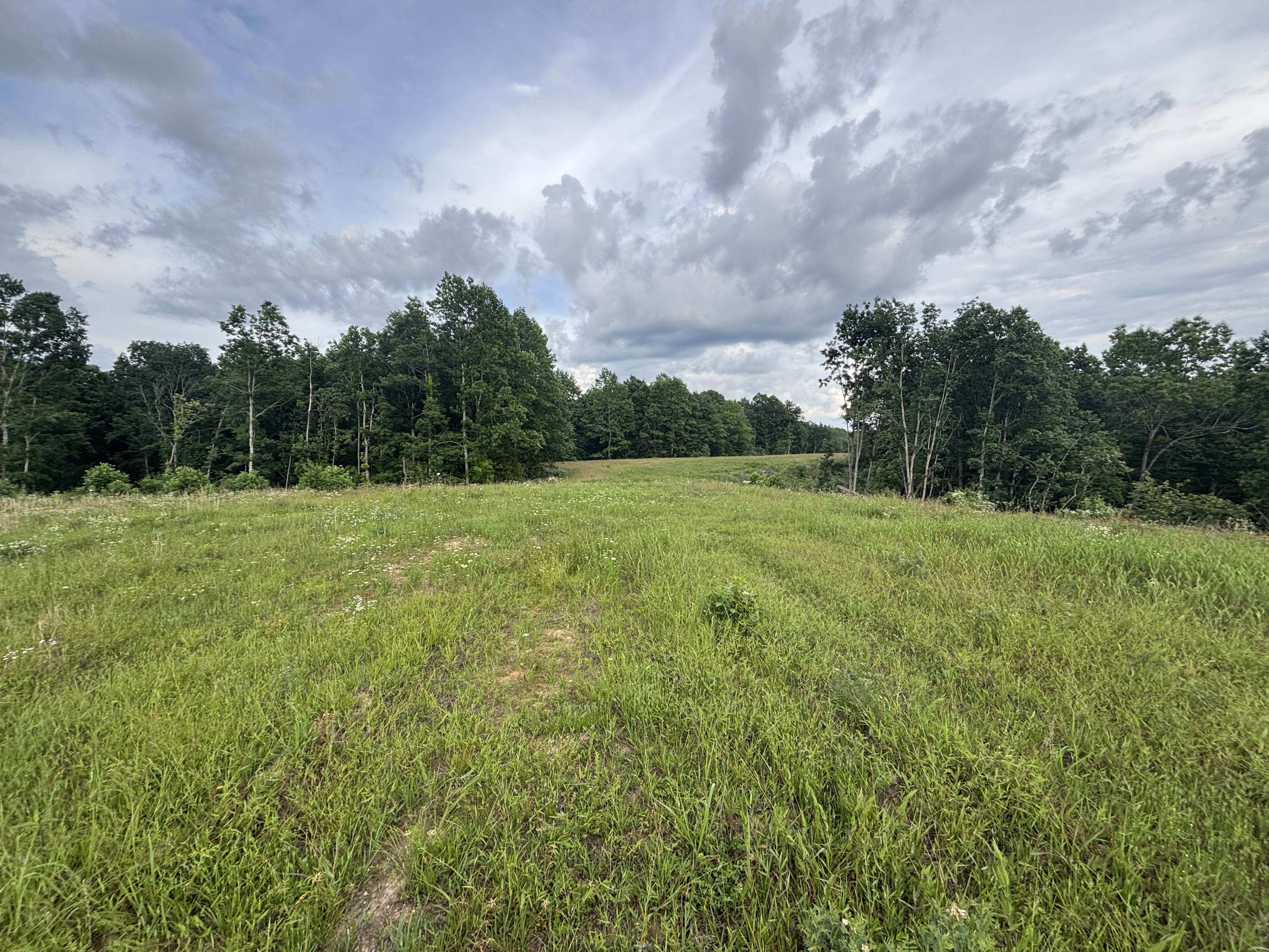 11.41 acres for sale in Decatur, Tennessee