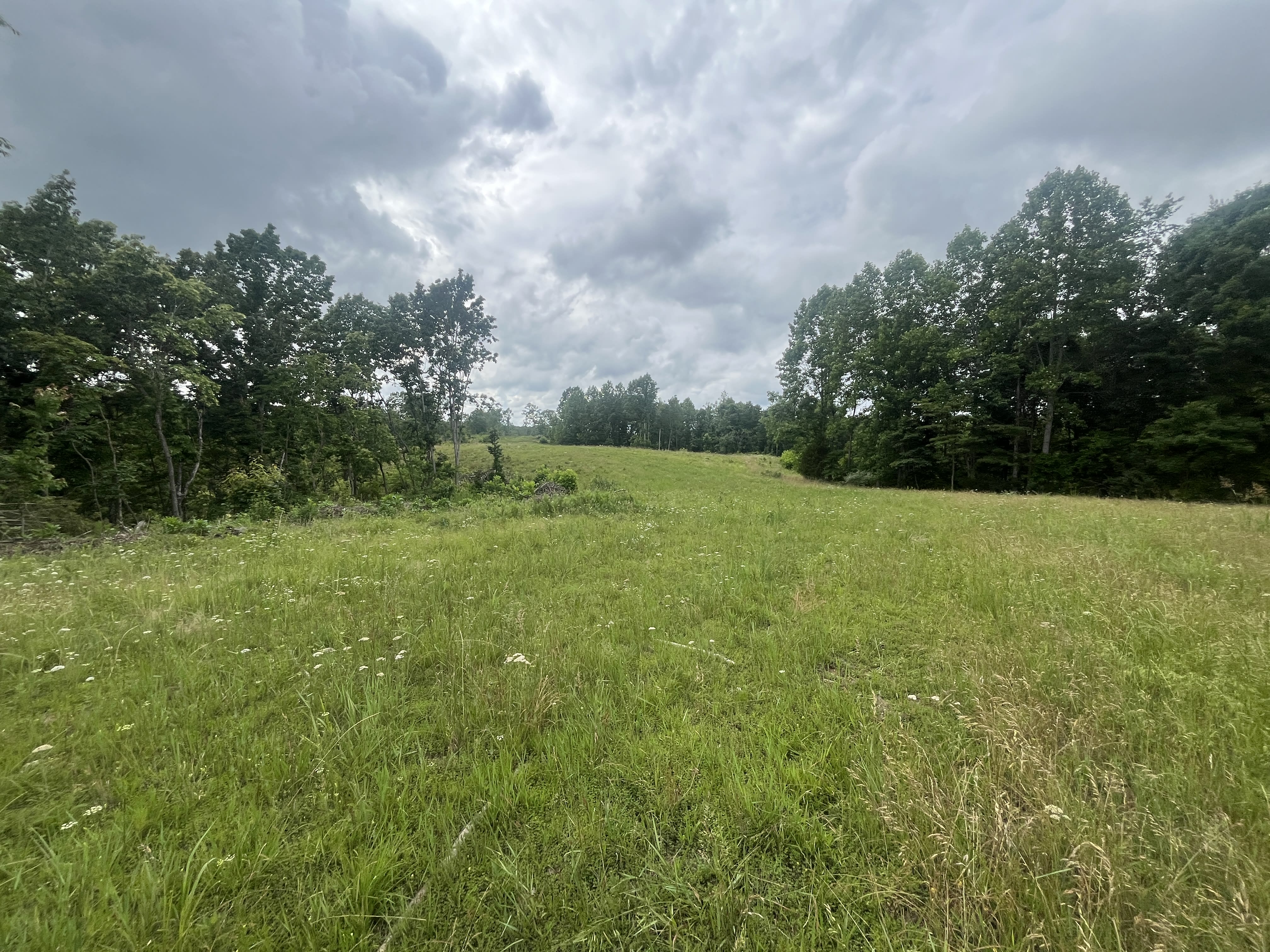 Sugar Tree Vista