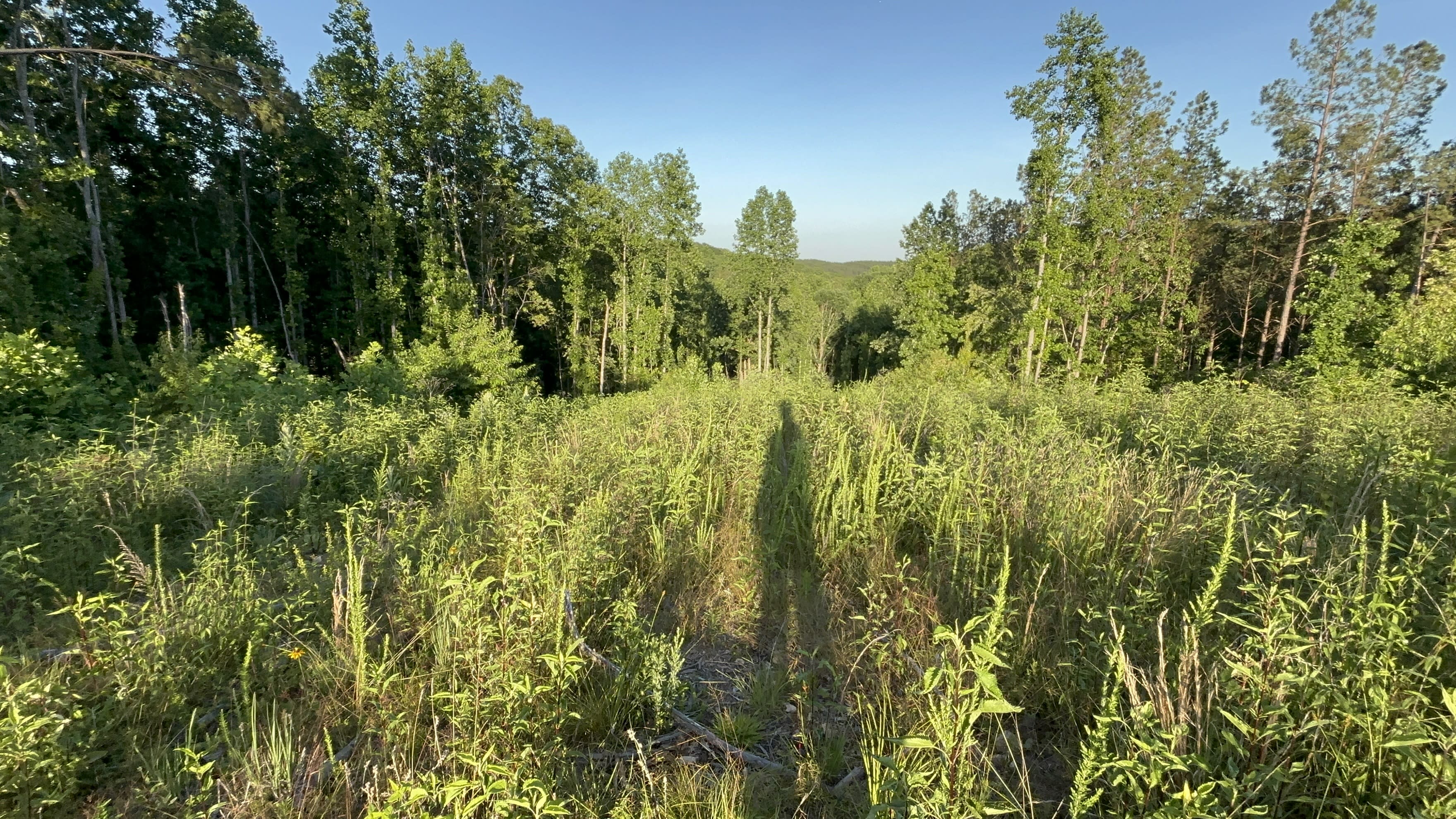 10.24 acres for sale in Decatur, Tennessee