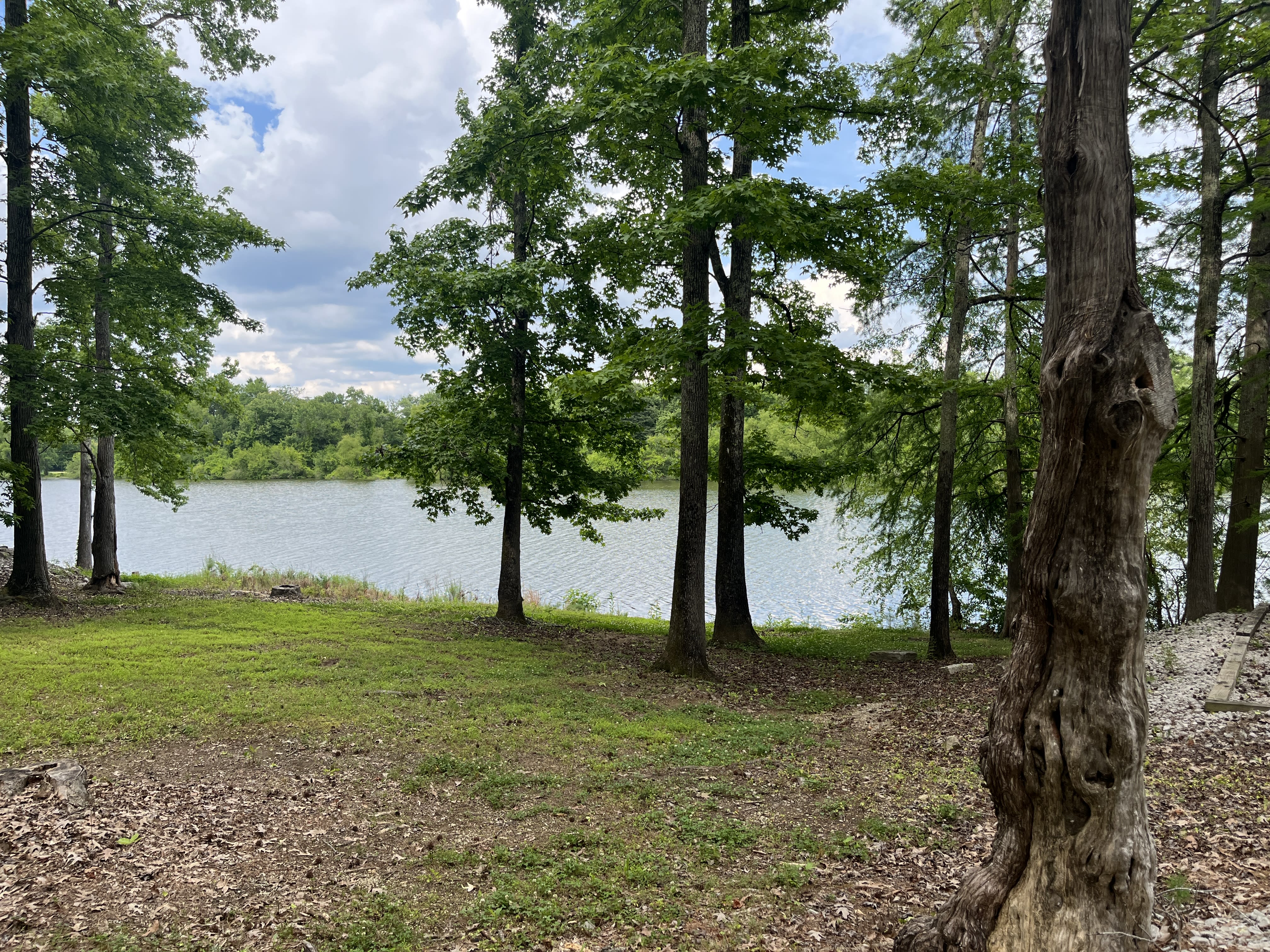 Beech Bend Park - Camping, Fishing and Recreation in Parsons