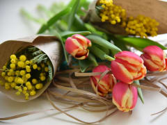 Губернатор Виктор Томенко и председатель АКЗС Александр Романенко поздравили жительниц Алтайского края с 8 Марта