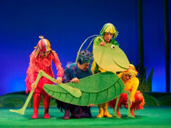 Музыкально-пластический спектакль «Букашки. Фантазия!»