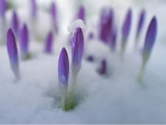 Что обязательно нужно сделать, чтобы укрепить здоровье в начале весны