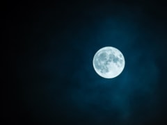 Такой день. Мусор в лесу и семь человек с энцефалитом