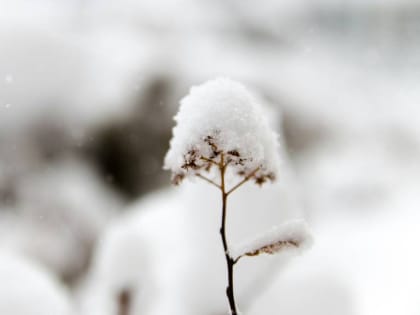 До -6 градусов ожидается в Алтайском крае 2 марта