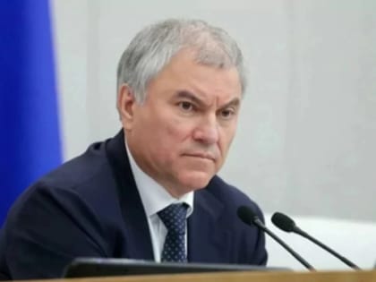 Володин раскритиковал ряд министерств за недобросовестную работу