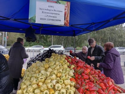 Ярмарка на площади Мира: успех и общественная поддержка