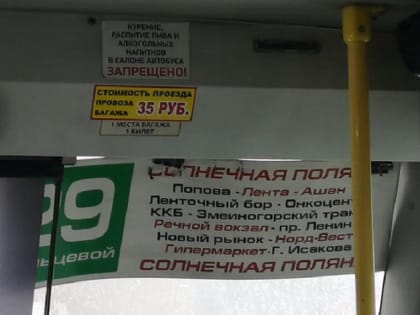 В некоторых барнаульских маршрутках увеличилась стоимость проезда