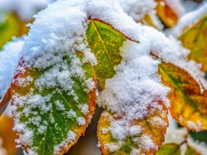 Погода в Республике Алтай: наступление холодов и осадков