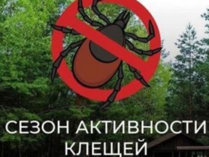 Клещи атакуют жителей Алтайского края