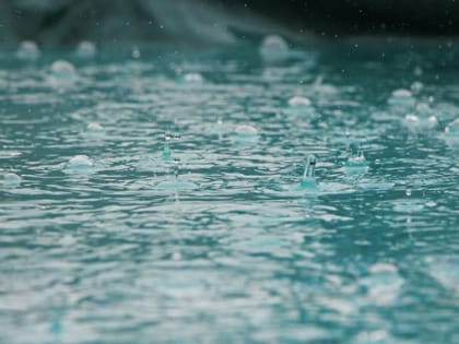 Вместо летней жары заморозки и дожди. Какая погода будет в Алтайском крае в июне?