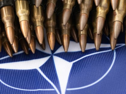 Боррель: ЕС не пойдет умирать за Донбасс