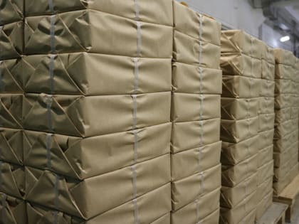 К выборам Президента РФ изготовлено 1,767 млн бюллетеней