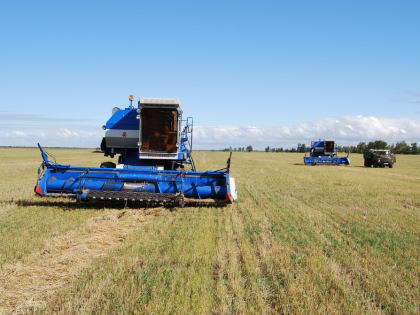 День работников сельского хозяйства и перерабатывающей промышленности в Алтайском крае