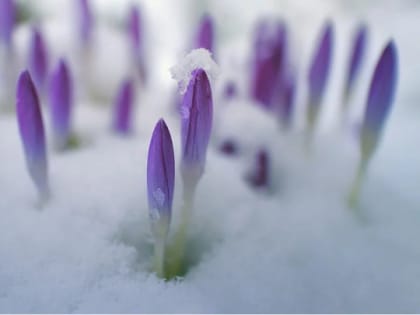 Что обязательно нужно сделать, чтобы укрепить здоровье в начале весны