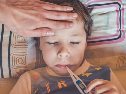 В Алтайском крае закрываются школы и детсады из-за всплеска ОРВИ