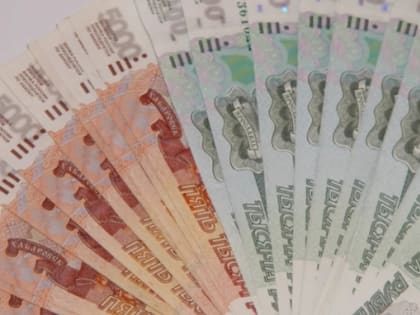Алтайские бизнесмены за три месяца пополнили российский бюджет на 14 млрд рублей