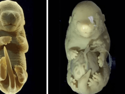 Топ 10 научных открытий 2024 года⁠⁠