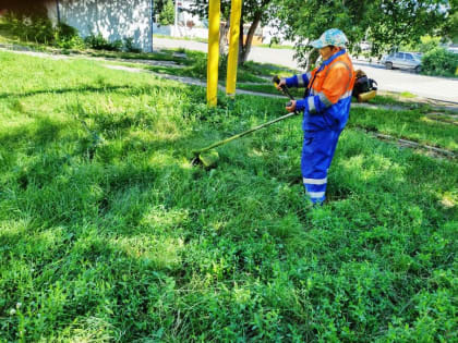 В Ленинском районе продолжаются сезонные работы по покосу травы