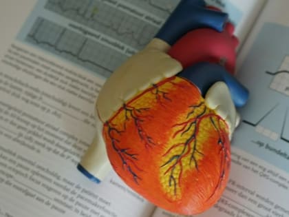 Советы врача по поддержанию здоровья сердца