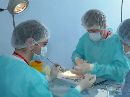 Седьмая олимпиада по урологии прошла в Алтайском государственном медуниверситете