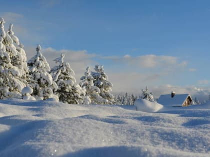 Какая будет погода в феврале