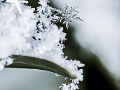 Осенние риски для женщин: как избежать проблем со здоровьем