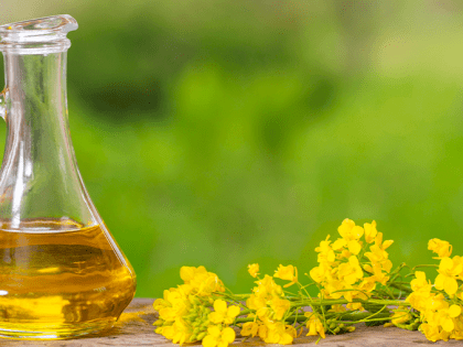 Вред и польза эруковой кислоты