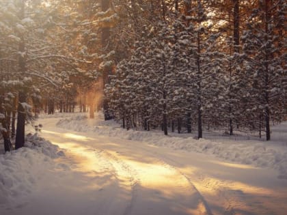 23 февраля в Алтайском крае потеплеет до -15 градусов