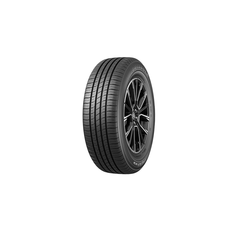 TRIANGLE TS601