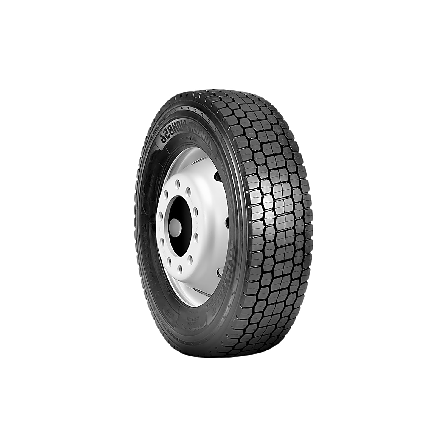 WELLPLUS WDH856