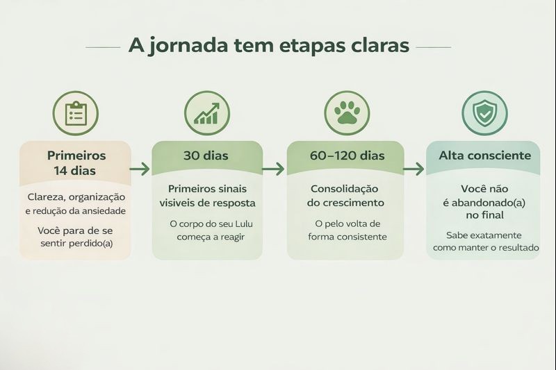 Jornada com etapas claras