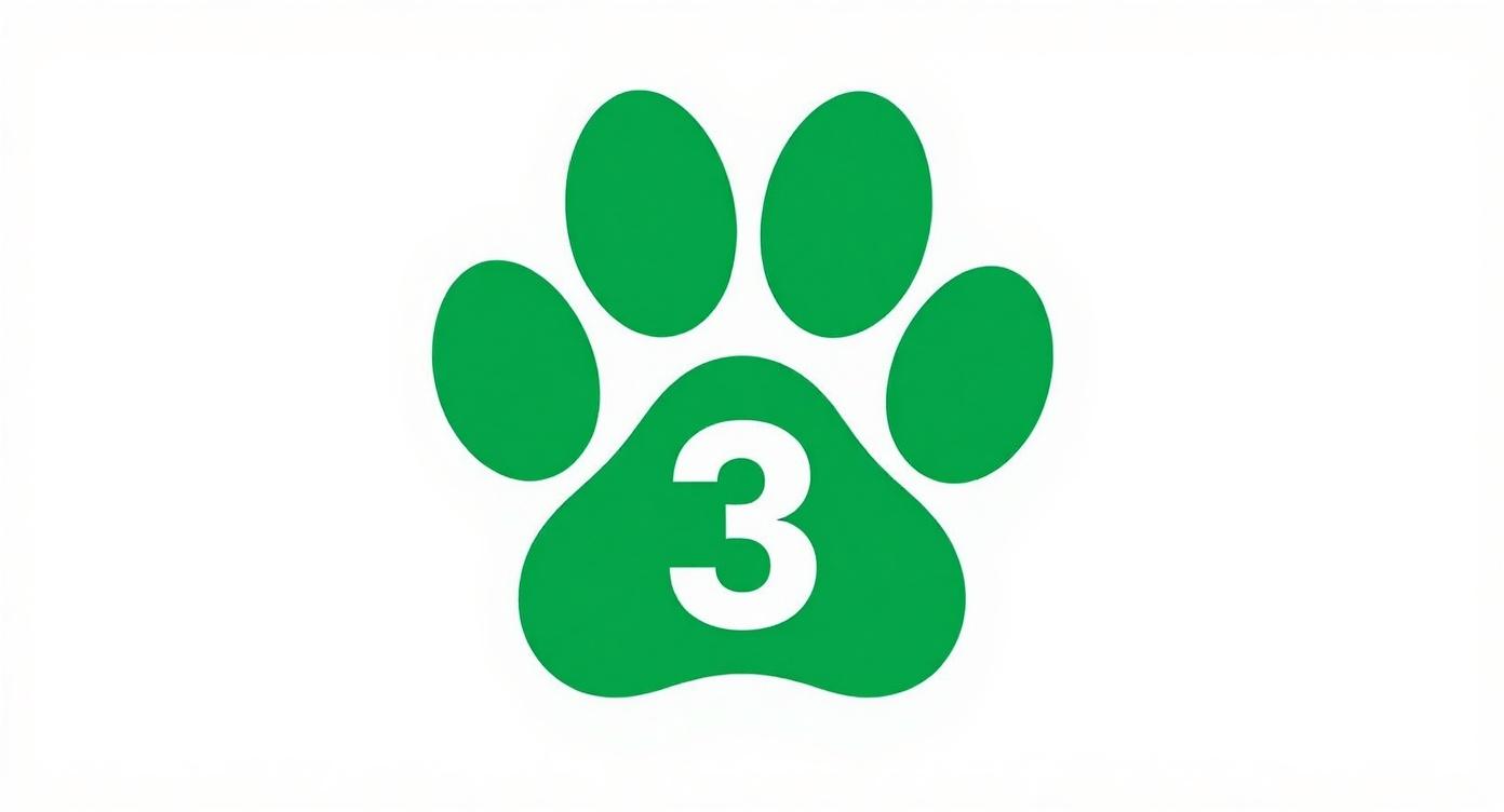 Patinha 3