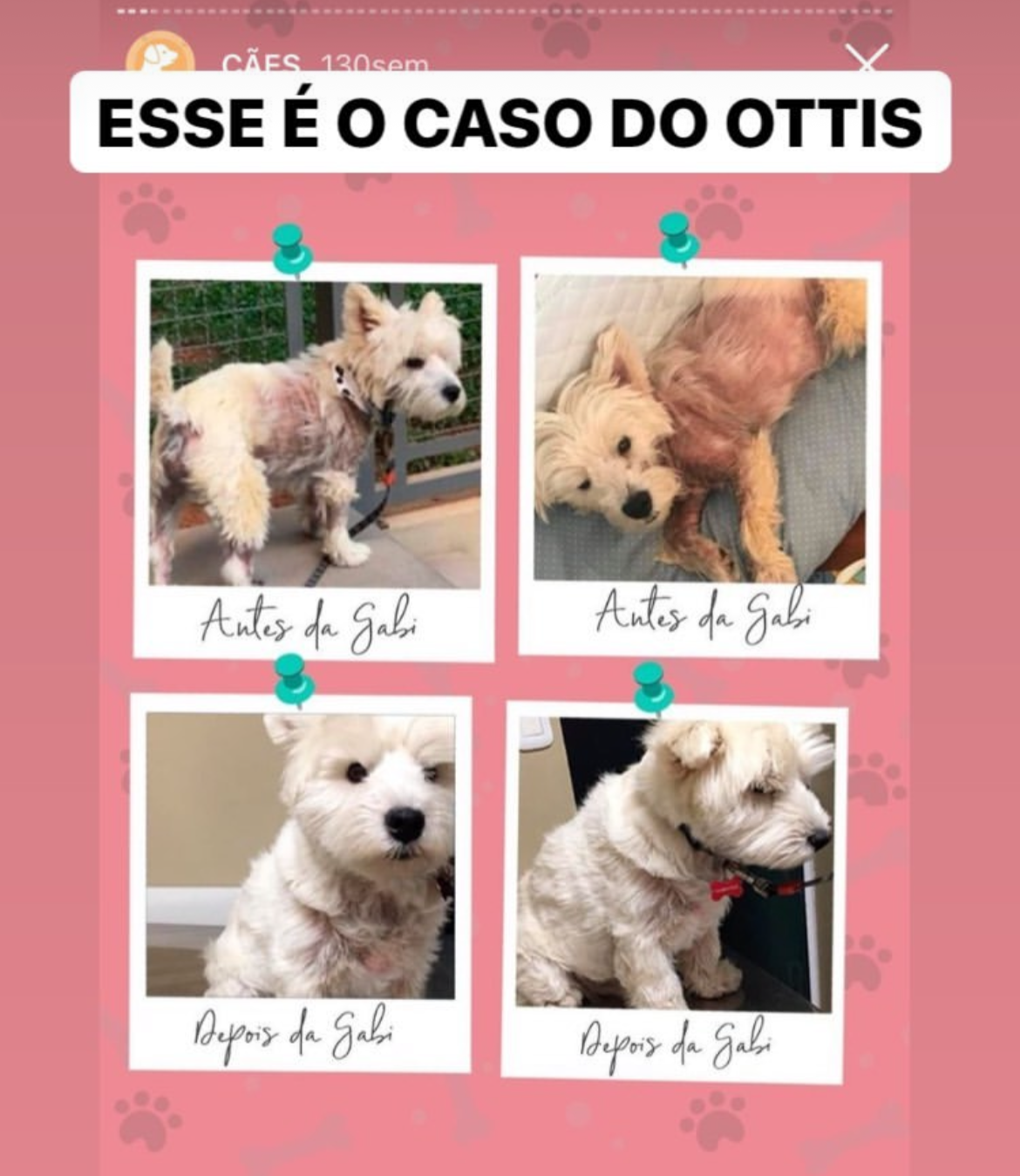 Ottis Transformação