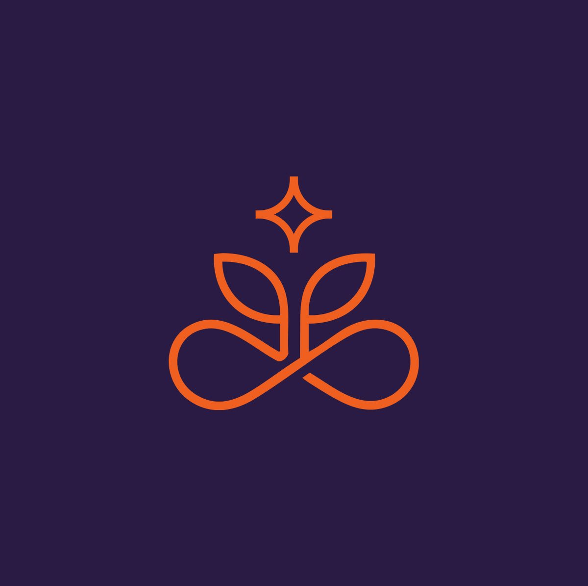 Branding & Identity project example 1