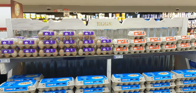 EGGS Department Header