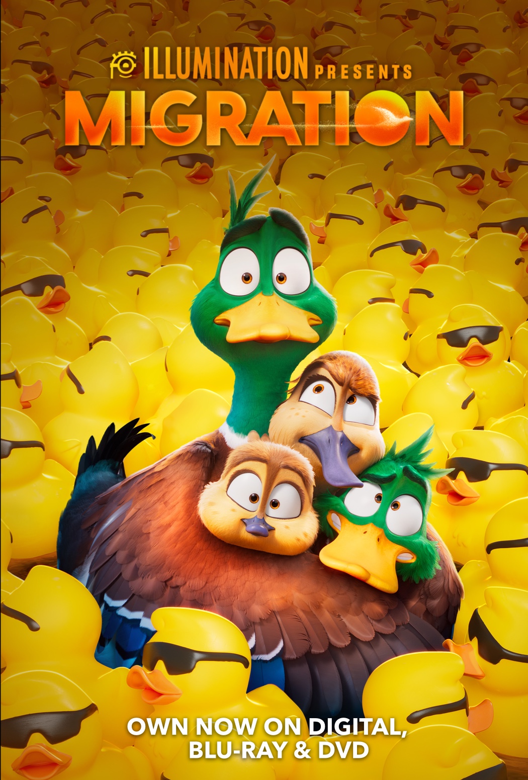 Featured picture for the movie; MIGRATION B - MASTER P