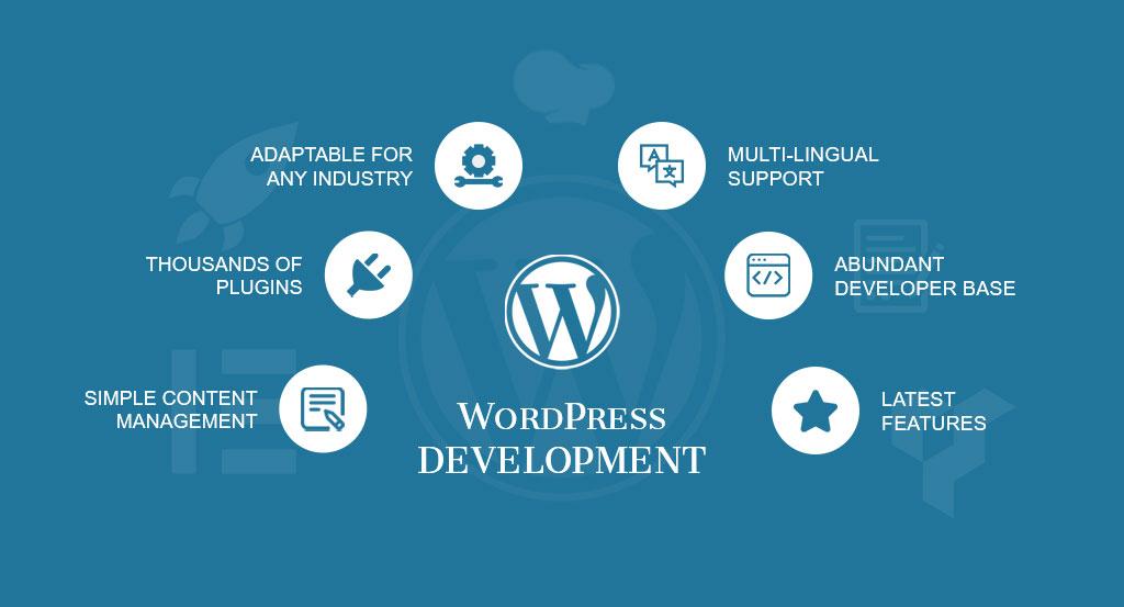 Ecommerce SEO