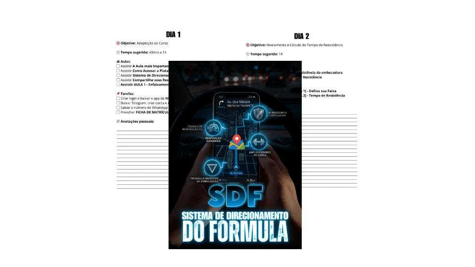 SDF — Sistema de Direcionamento do Fórmula
