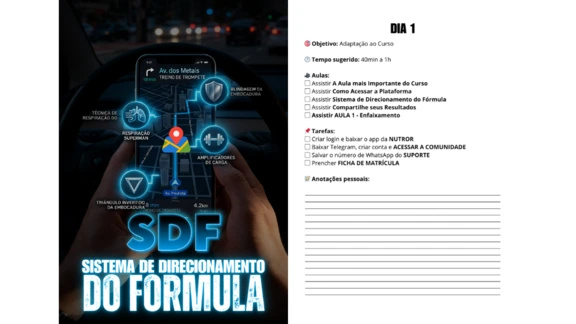 SDF, o sistema de direcionamento do Fórmula