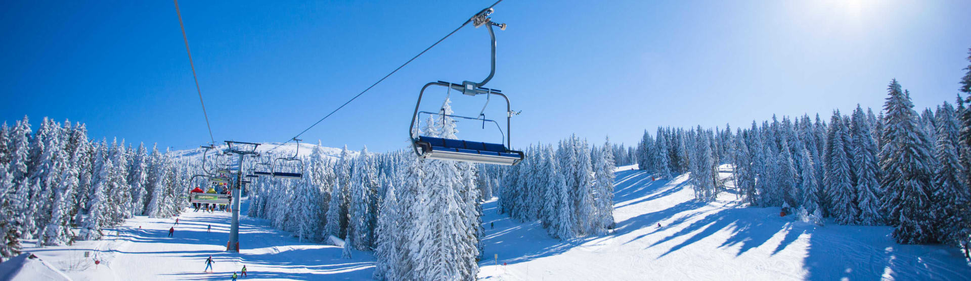 Ski in the wild with the whole family!