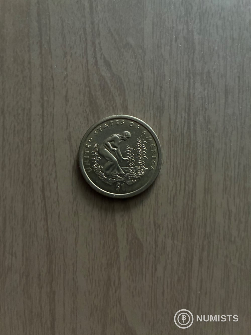 $1 Dollar SUA