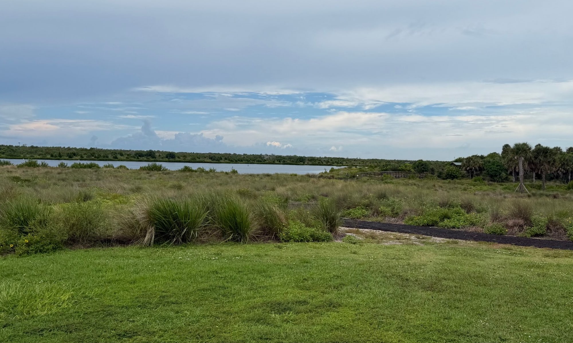 Marsh grasses and open water at a coastal preserve in Bradenton